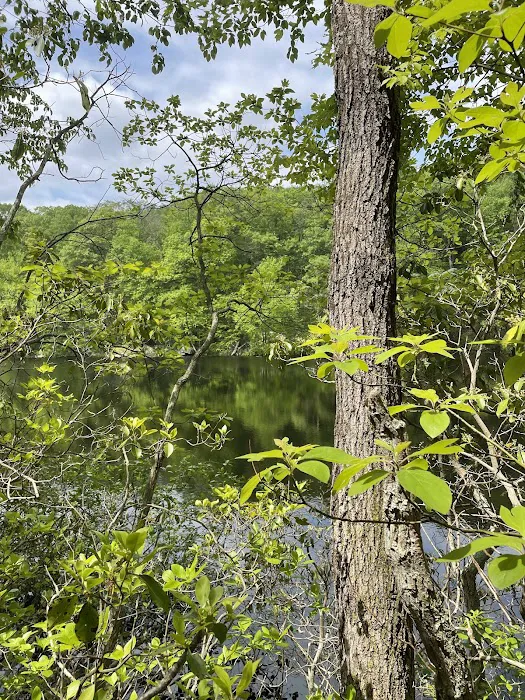 Devil's Den Preserve Pinchbeck Trail Parking Picture 7