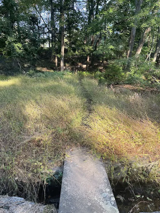 Aspetuck Land Trust: Haskins Preserve Picture 3