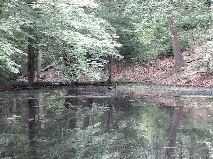 Aspetuck Land Trust: Haskins Preserve Picture 2