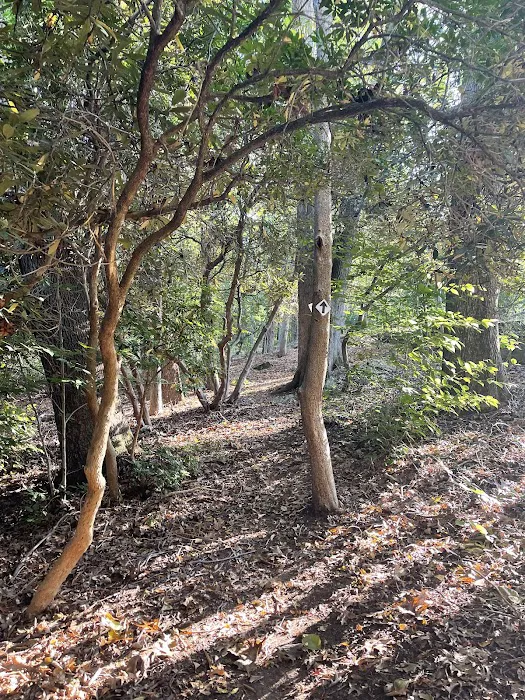 Aspetuck Land Trust: Haskins Preserve Picture 4