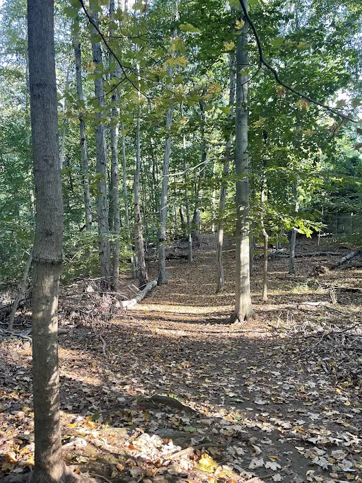 Aspetuck Land Trust: Haskins Preserve Picture 8