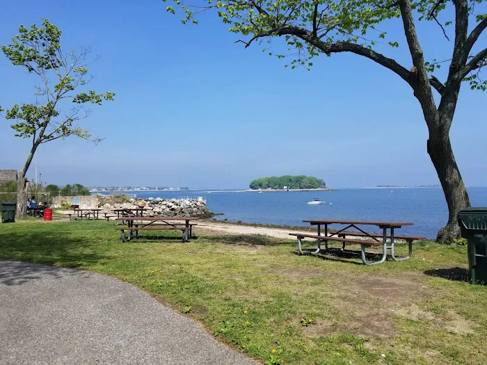 Shady Beach Park Picture 5