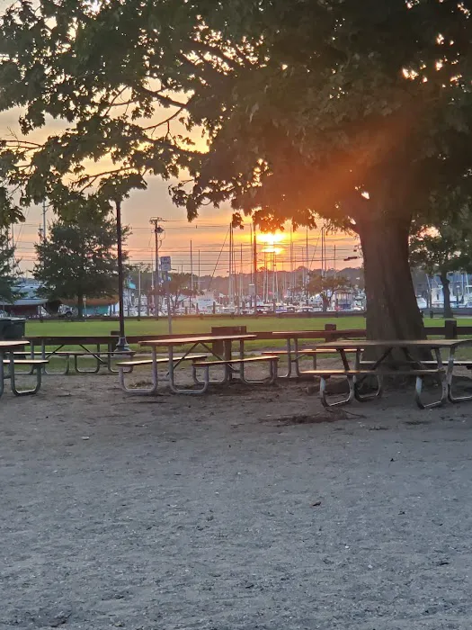 Shady Beach Park Picture 7