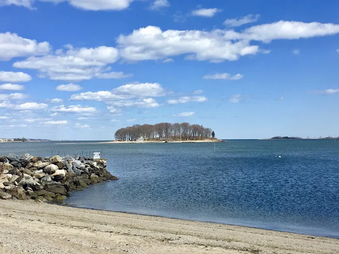Shady Beach Park Picture 1