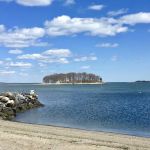 Shady Beach Park