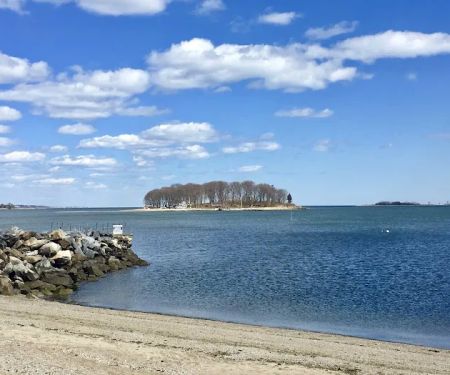 Shady Beach Park
