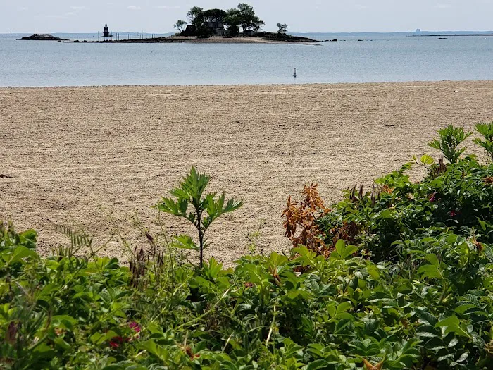 Shady Beach Park Picture 6