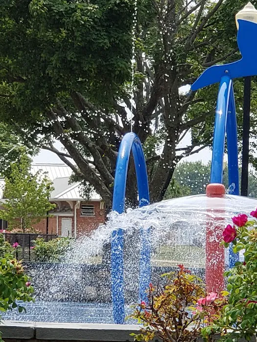 Shady Beach Park Picture 4
