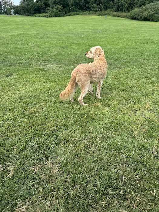 Taylor Farm Dog Park Picture 10
