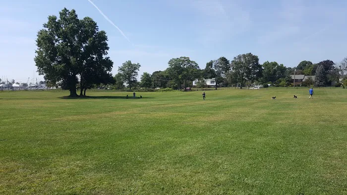 Taylor Farm Dog Park Picture 4