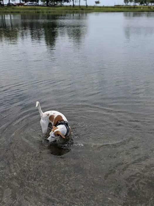 Taylor Farm Dog Park Picture 8