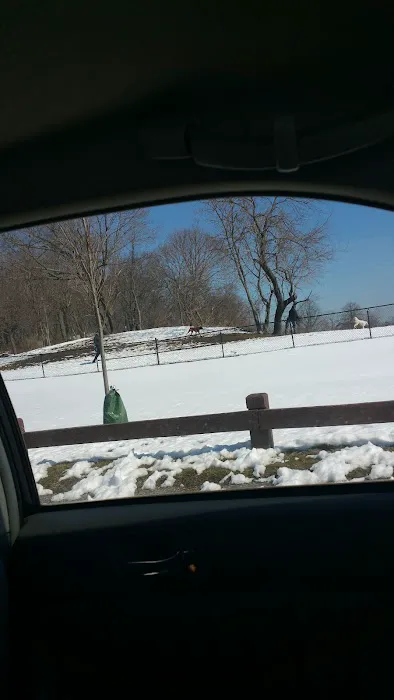 Taylor Farm Dog Park Picture 6