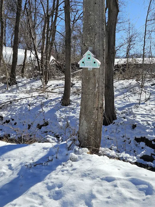Maybrook Rail Trail Picture 4
