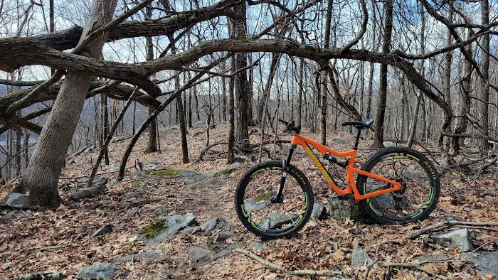 Farrington Woods Picture 5