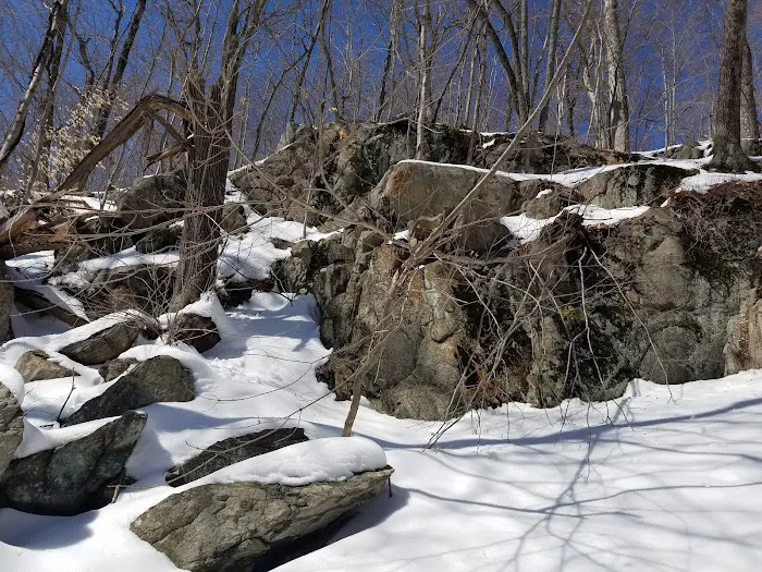 Farrington Woods Picture 10
