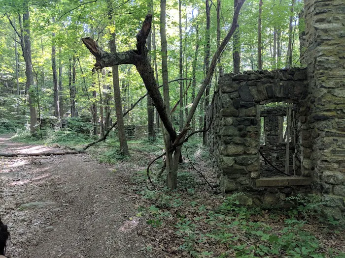 Farrington Woods Picture 6