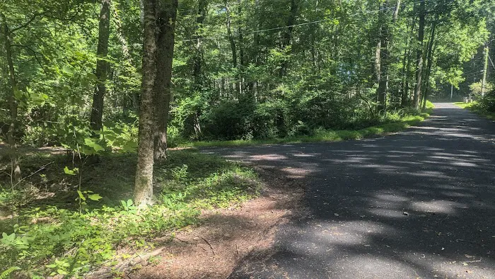 Hemlock Hills Parking Bear Mountain Rd Picture 5