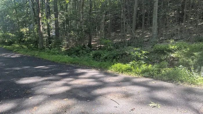 Hemlock Hills Parking Bear Mountain Rd Picture 3