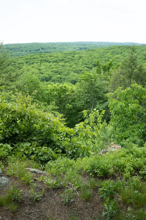 Pine Mountain Trail Head Picture 1