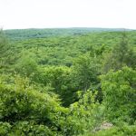 Pine Mountain Trail Head