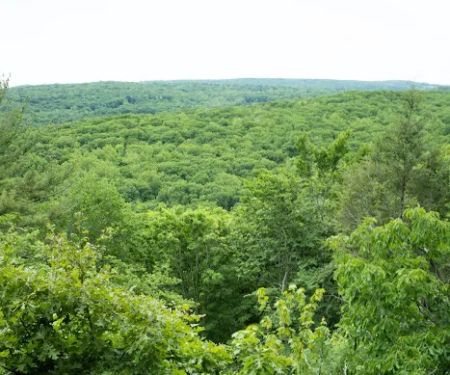 Pine Mountain Trail Head