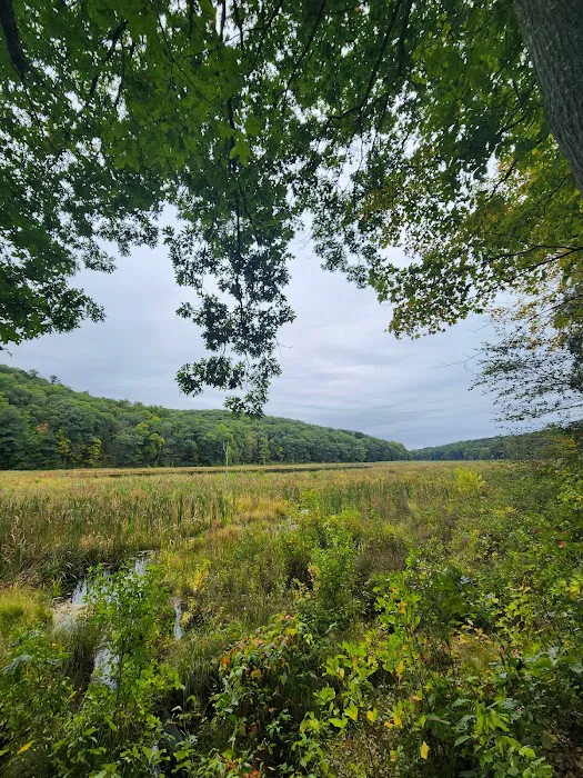 Pine Mountain Trail Head Picture 8
