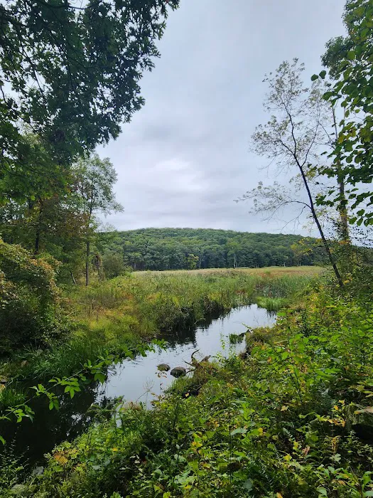 Pine Mountain Trail Head Picture 6