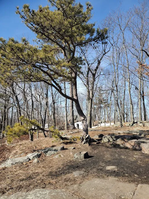 Pine Mountain Trail Head Picture 7