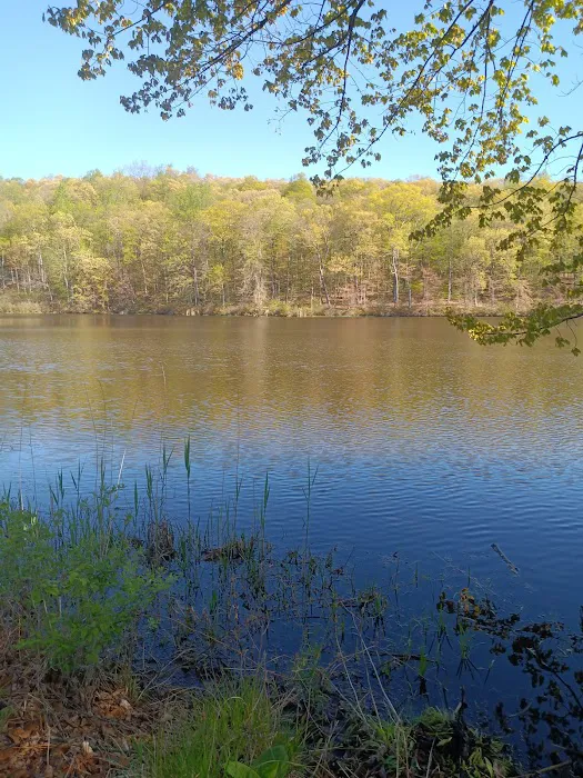 Pine Mountain Trail Head Picture 2
