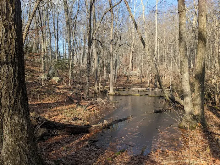 Pine Mountain Trail Head Picture 10
