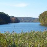 Brewster Soccer Field