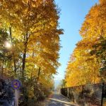 Empire State bike trail