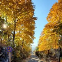 Empire State bike trail ico