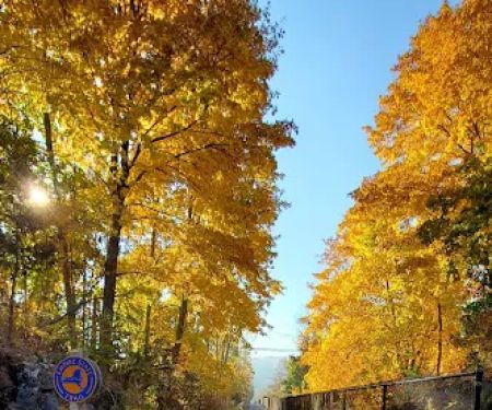 Empire State bike trail