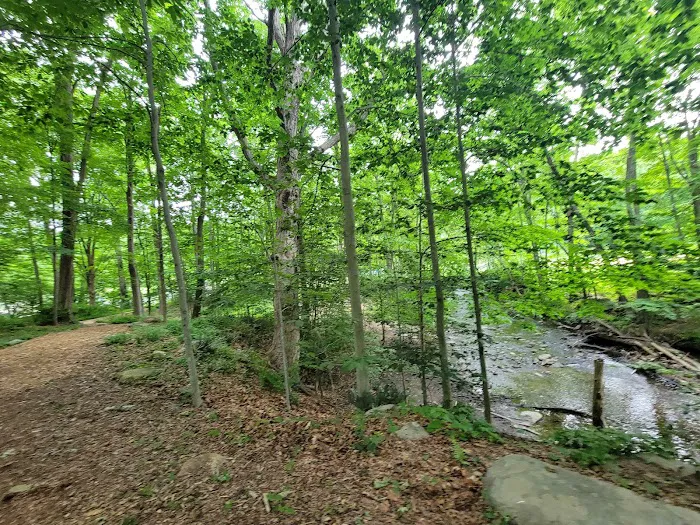 Edward Ryan Memorial Park Picture 3