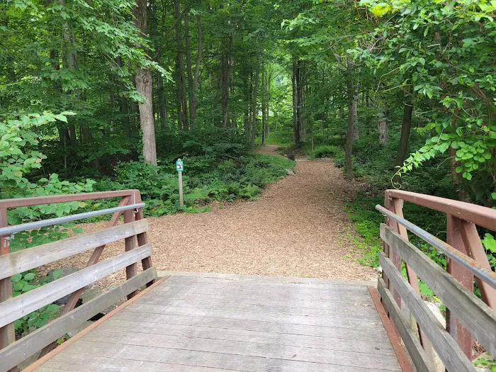 Edward Ryan Memorial Park Picture 9