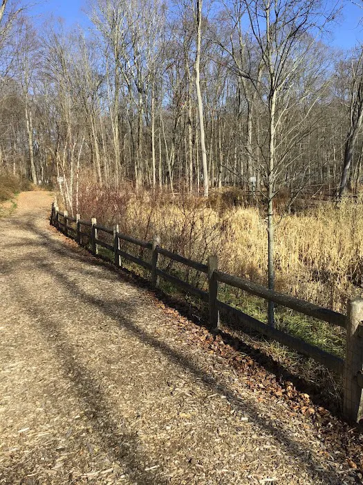 Edward Ryan Memorial Park Picture 10