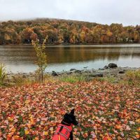 Lake Carmel Park District ico
