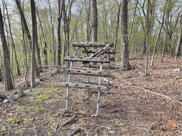 Southeast Town Park Picture 10