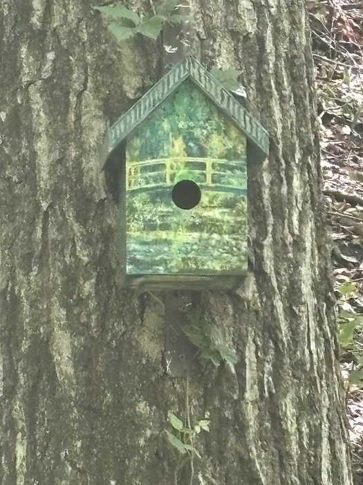 Maybrook Trailway Tonetta Lake Picture 6