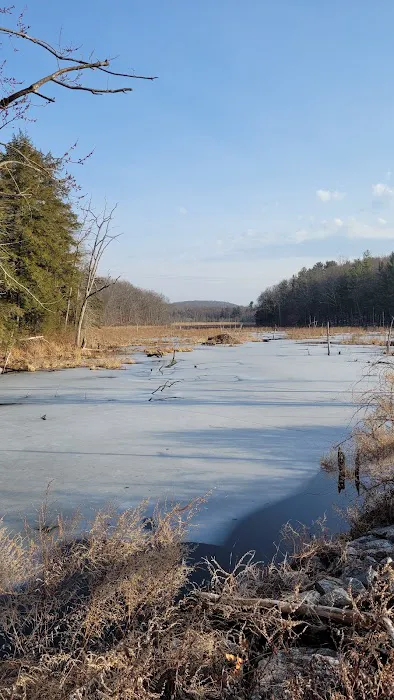 Maybrook Trailway Tonetta Lake Picture 2
