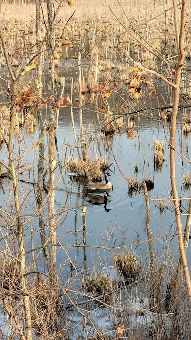 Maybrook Trailway Tonetta Lake Picture 3