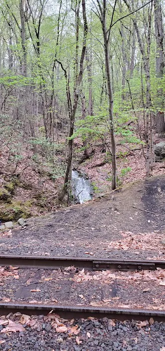 Maybrook Trailway Tonetta Lake Picture 9