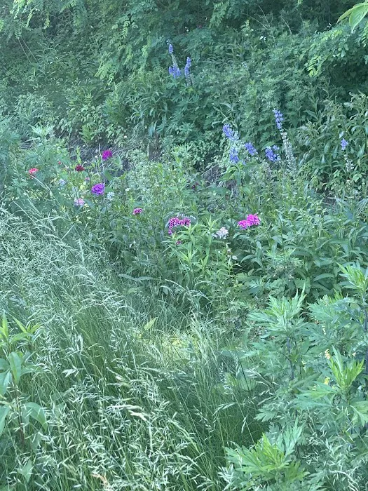 Maybrook Trailway Tonetta Lake Picture 4