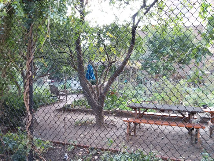 Jeff Dullea Inter Generational Garden At Penn South Coop Picture 10