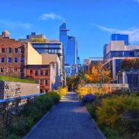 The High Line ico