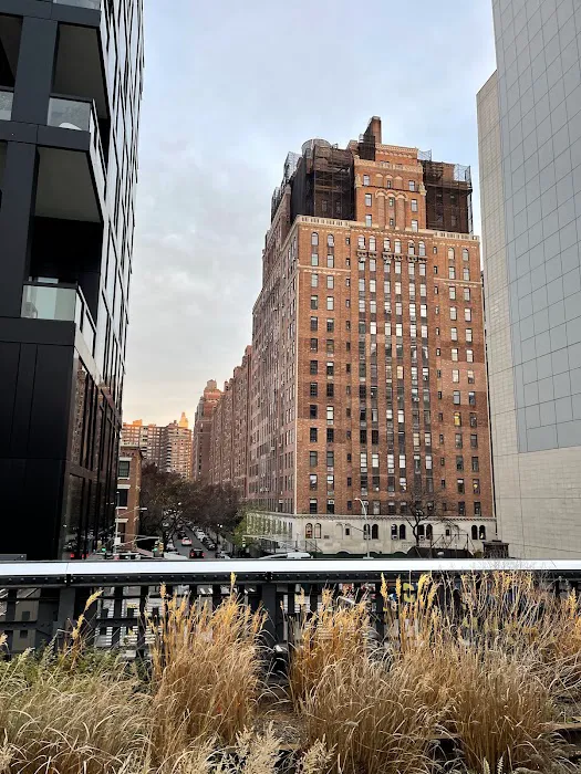 The High Line Picture 5