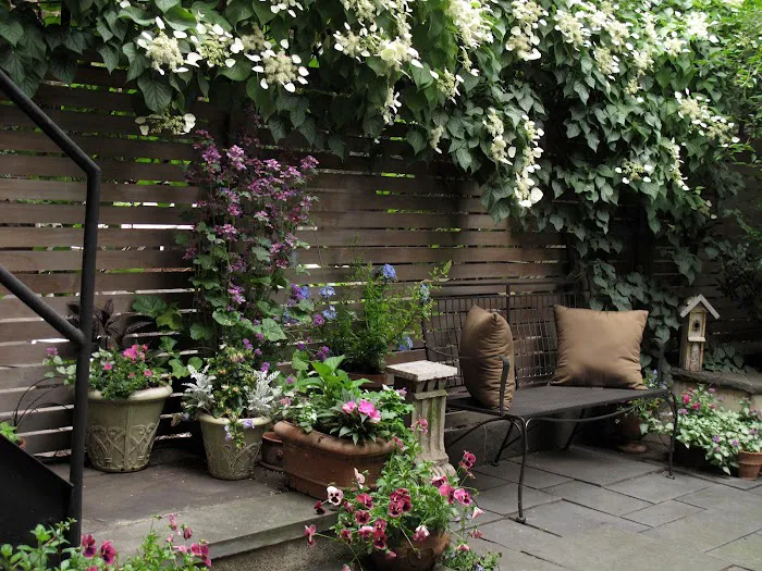 A Garden in Chelsea Picture 5