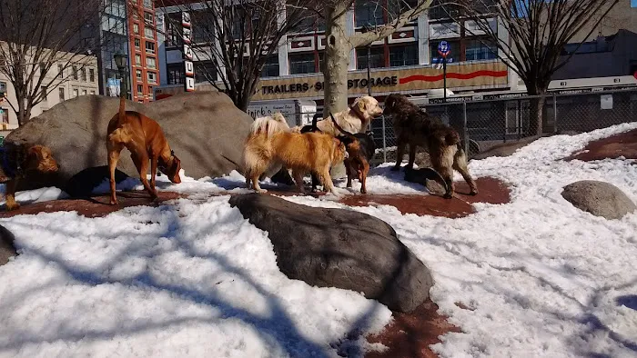 Chelsea Waterside Dog Park Picture 1