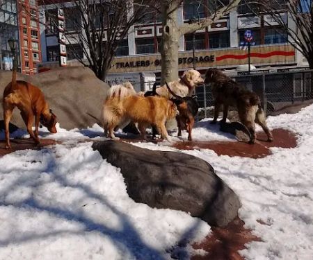 Chelsea Waterside Dog Park